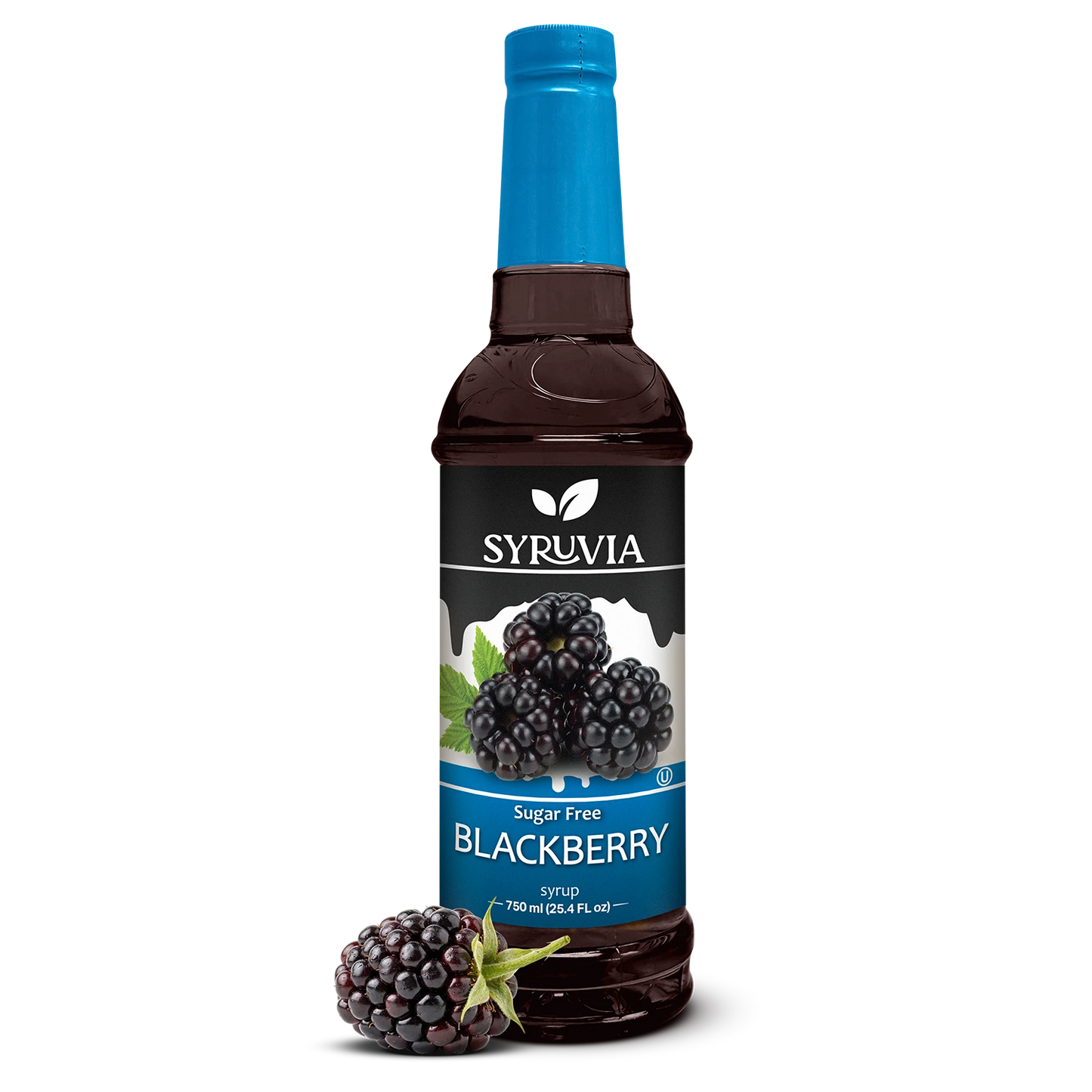 Sugar-Free Blackberry Syrup