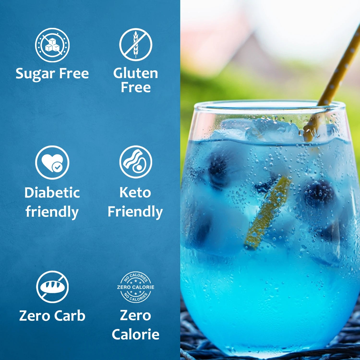 blueberry sugar free syrup