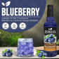 blueberry syrup for coffee